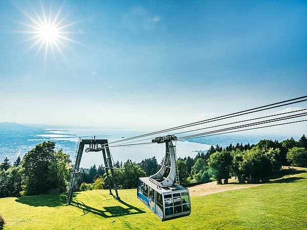 Active Lake Constance Bike Tour from Bregenz Illustrative image, AI-generated or AI-modified: Active Lake Constance Bike Tour from Bregenz
