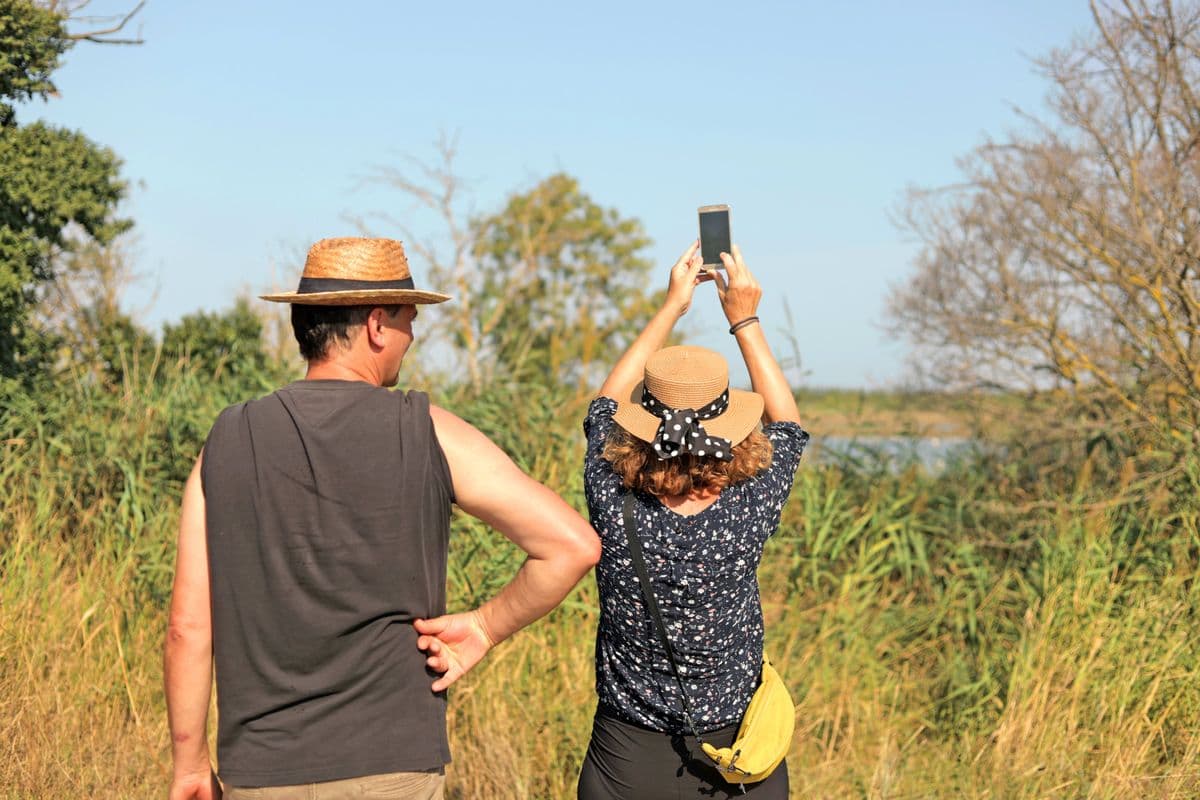 Provence and the Rhône Valley by Boat and Bike – Arles to Lyon provence-rhone-valley-boat-bike-arles-lyon