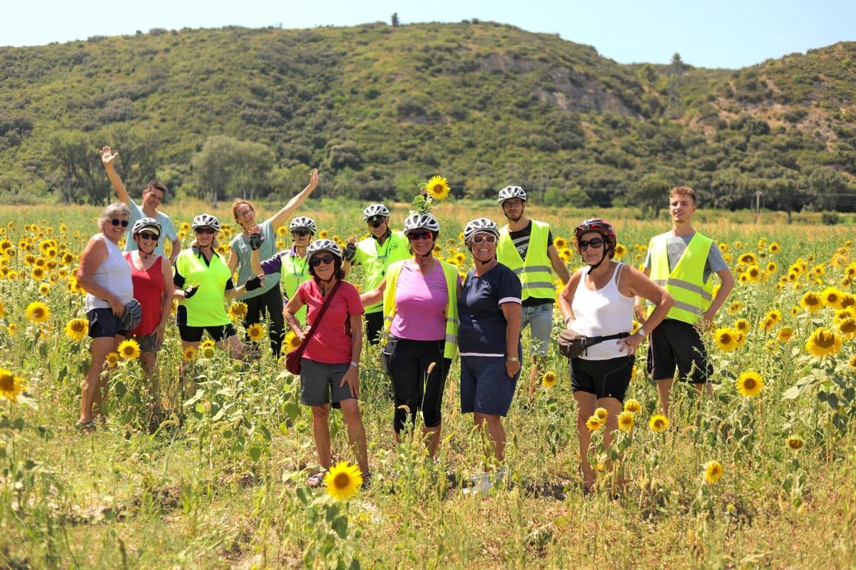 Provence and the Rhône Valley by Boat and Bike – Arles to Lyon provence-rhone-valley-boat-bike-arles-lyon