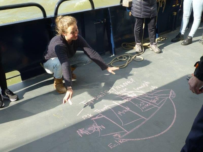 Holland Tulip Tour by Sail and Bike Illustrative image, AI-generated or AI-modified: Holland Tulip Tour by Sail and Bike