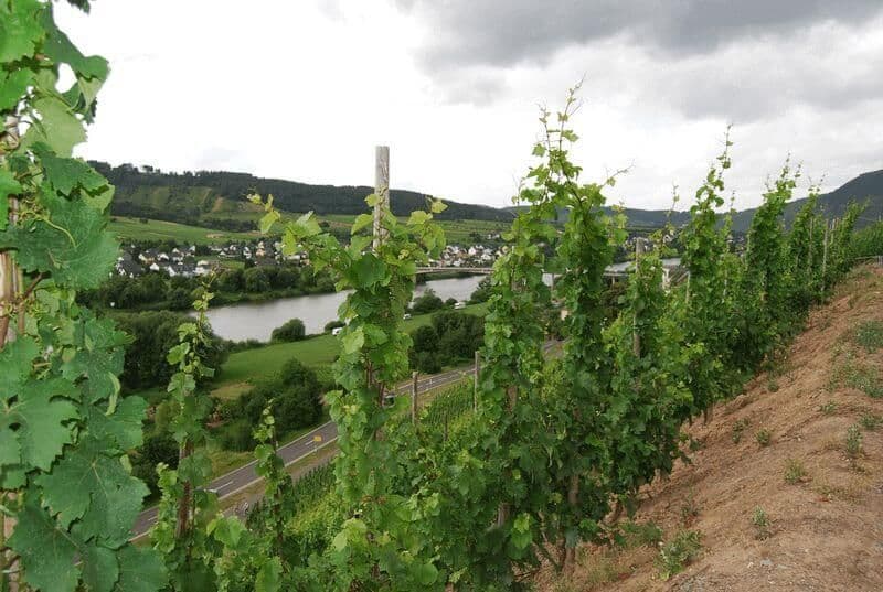 Moselle by Boat and Bike: Metz to Cochem moselle-boat-bike-metz-cochem