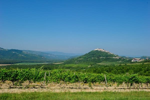 Istria Coast & Hilltop Villages by Boat and E-Bike istria-coast-and-hilltop-villages-bike-and-boat
