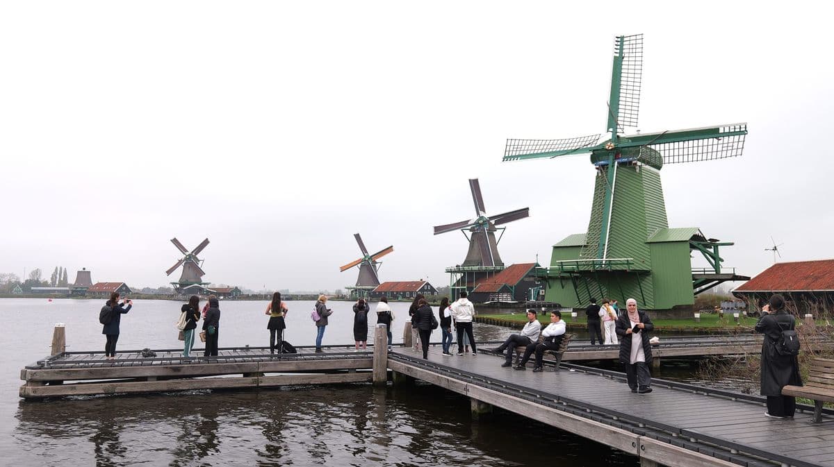 Holland in Bloom: 8-Day Tulip Cruise by Bike holland-in-bloom-8-day-tulip-bike-boat-tour