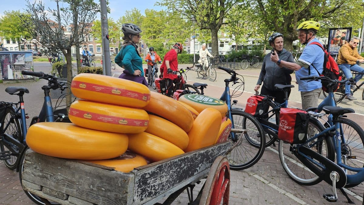 Holland in Bloom: 8-Day Tulip Cruise by Bike holland-in-bloom-8-day-tulip-bike-boat-tour