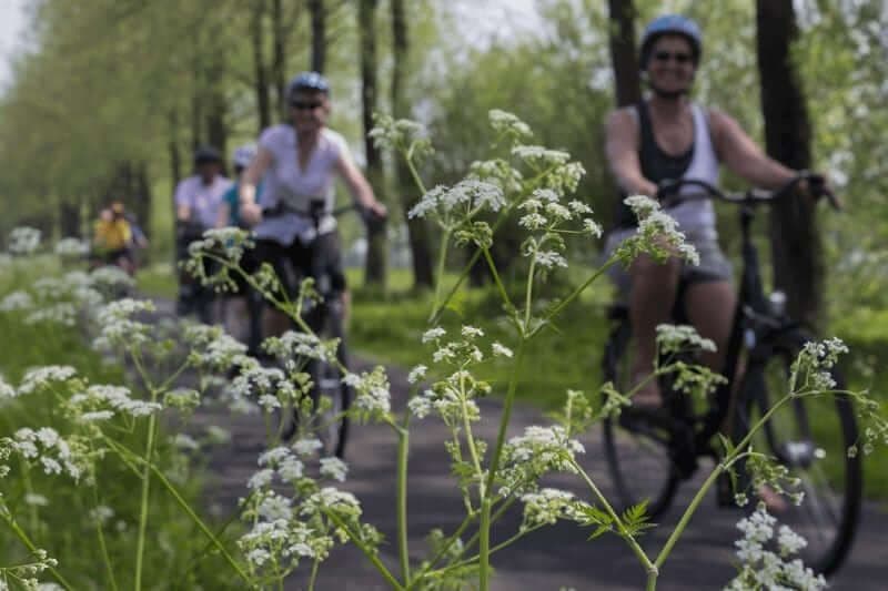 Paris to Bruges Bike & Barge Cruise | 15 Days Premium paris-to-bruges-bike-and-barge-cruise