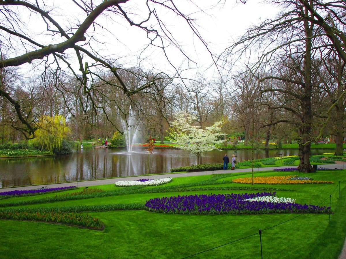 Tulips & Windmills Deluxe: 9-Day Guided Bike & Boat in Holland tulips-windmills-deluxe-9-day-bike-boat-holland