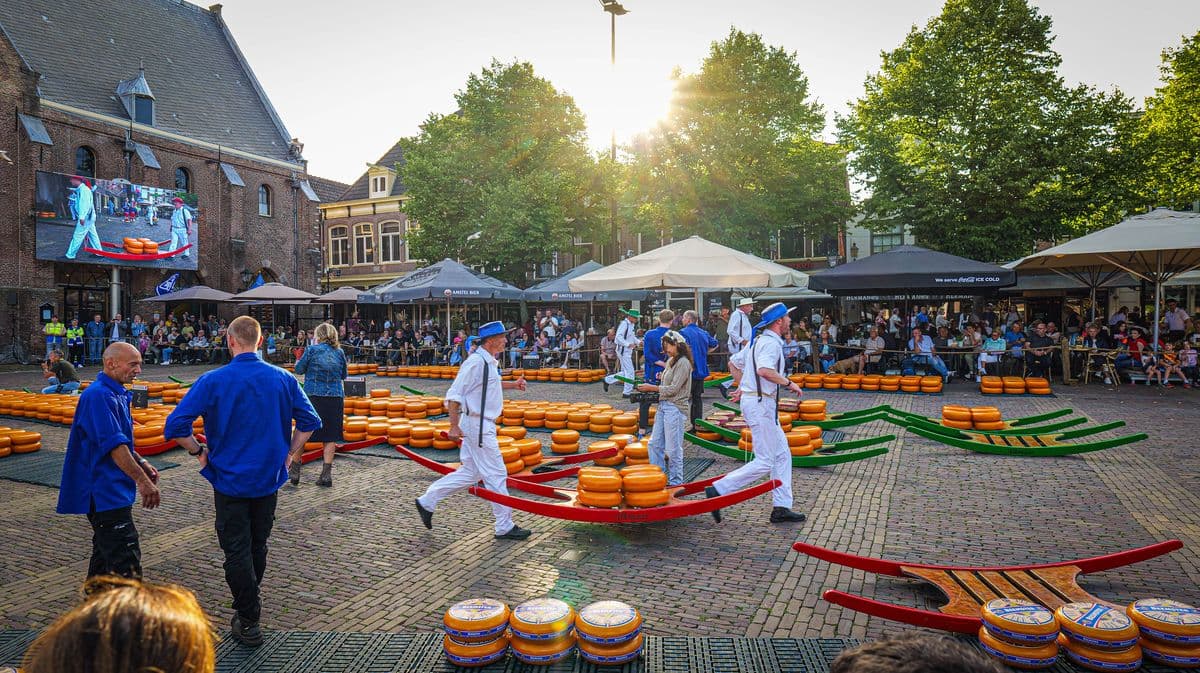 Tulips & Windmills Deluxe: 9-Day Guided Bike & Boat in Holland tulips-windmills-deluxe-9-day-bike-boat-holland