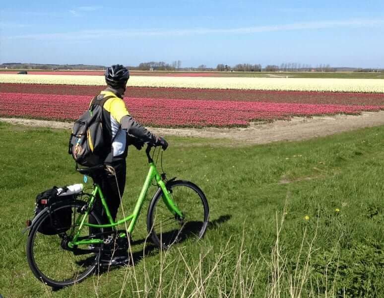 5-Day Tulip Tour Classic by Boat and Bike 5-day-tulip-tour-classic-boat-bike
