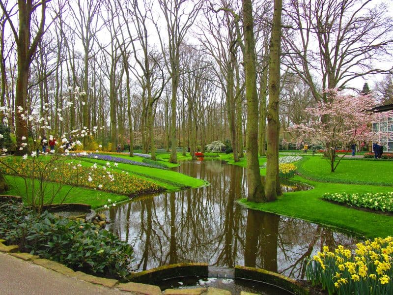5-Day Tulip Tour Classic by Boat and Bike 5-day-tulip-tour-classic-boat-bike