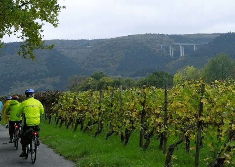 Main Valley by Bike and Boat: Aschaffenburg to Bamberg in 8 Days main-valley-bike-boat-aschaffenburg-to-bamberg-8-days