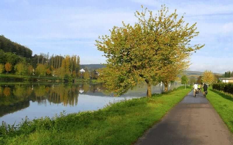 Main Valley by Bike and Boat: Aschaffenburg to Bamberg in 8 Days main-valley-bike-boat-aschaffenburg-to-bamberg-8-days