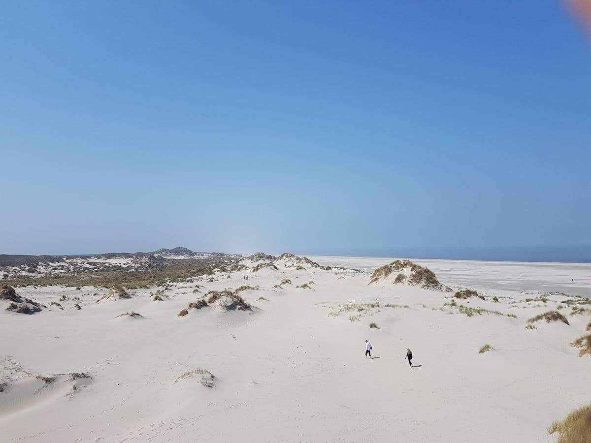 Friesland by Boat and Bike: Lakes and Wadden Coast friesland-by-boat-and-bike-lakes-and-wadden-coast