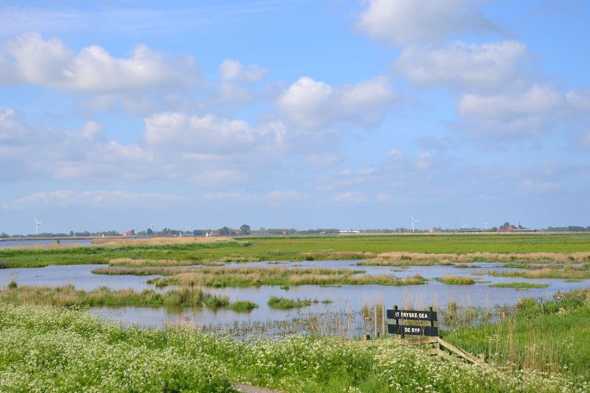 Friesland by Boat and Bike: Lakes and Wadden Coast friesland-by-boat-and-bike-lakes-and-wadden-coast