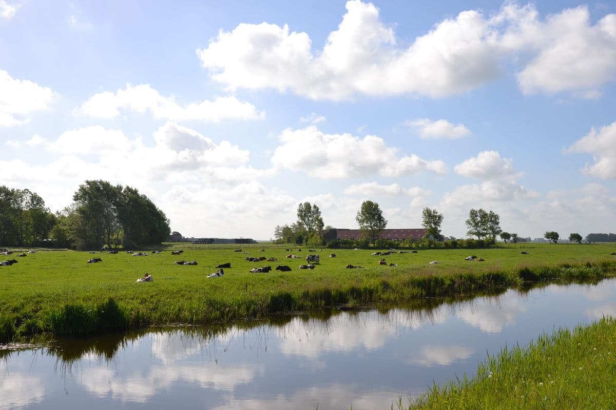 Friesland by Boat and Bike: Lakes and Wadden Coast friesland-by-boat-and-bike-lakes-and-wadden-coast