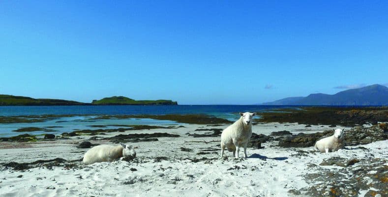 Scotland by Boat and Bike: Inner Hebrides and the Isle of Mull scotland-inner-hebrides-isle-of-mull-boat-bike