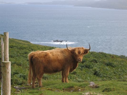 Scotland by Boat and Bike: Inner Hebrides and the Isle of Mull scotland-inner-hebrides-isle-of-mull-boat-bike