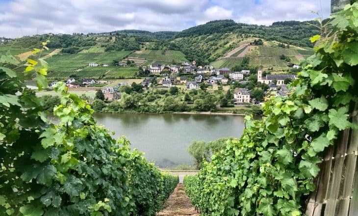 Rhine and Moselle by Boat and Bike: Koblenz to Koblenz Illustrative image, AI-generated or AI-modified: Rhine and Moselle by Boat and Bike: Koblenz to Koblenz