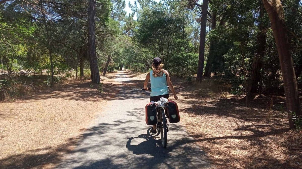 Porto to Óbidos Mountain Bike Tour Illustrative image, AI-generated or AI-modified: Porto to Óbidos Mountain Bike Tour