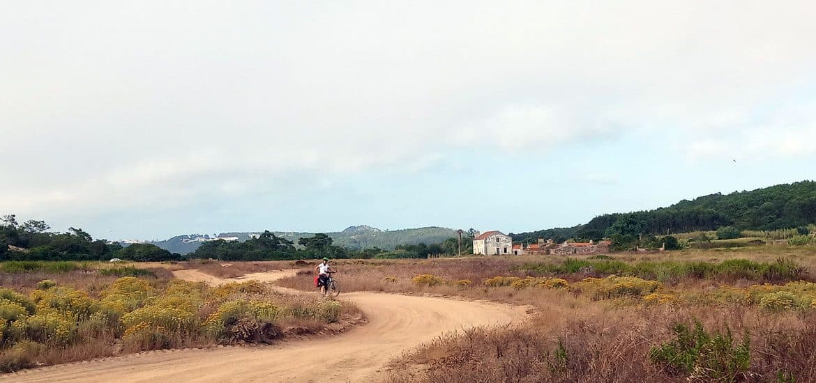 Porto to Óbidos Mountain Bike Tour Illustrative image, AI-generated or AI-modified: Porto to Óbidos Mountain Bike Tour
