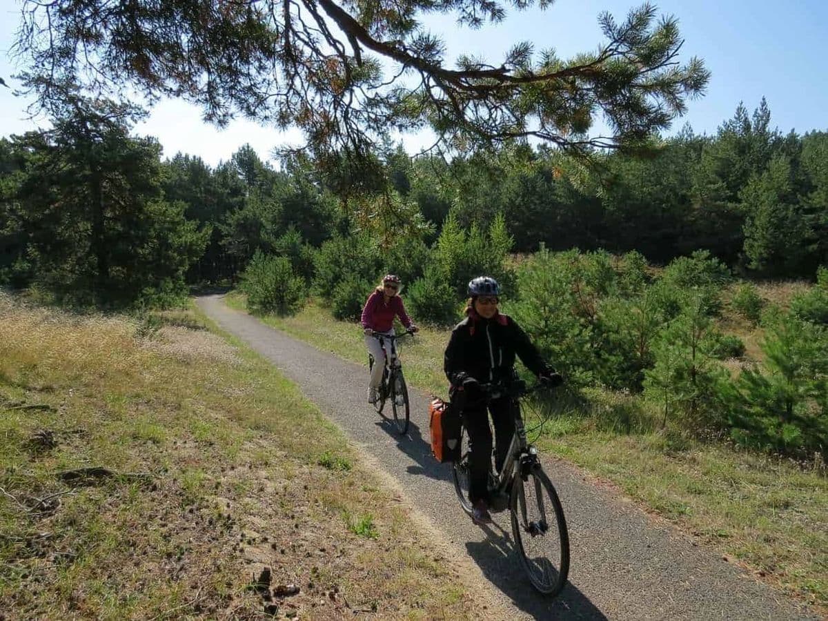 Lithuanian Seaside Cycling Tour Illustrative image, AI-generated or AI-modified: Lithuanian Seaside Cycling Tour