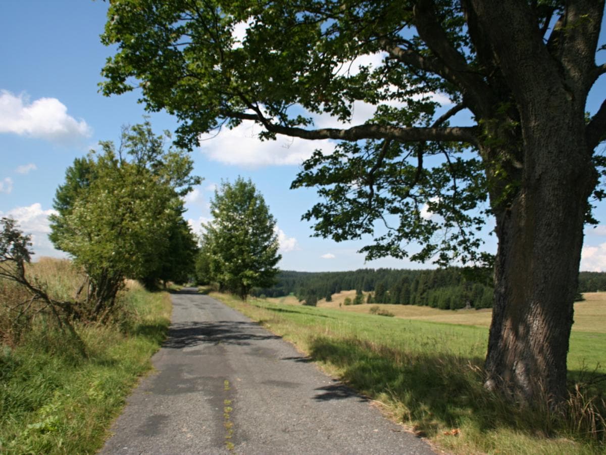 Bohemian Spa Triangle Bike Tour Illustrative image, AI-generated or AI-modified: Bohemian Spa Triangle Bike Tour
