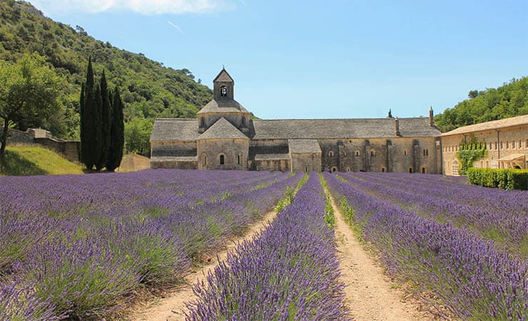 Provence and Luberon Cycling Tour Illustrative image, AI-generated or AI-modified: Provence and Luberon Cycling Tour