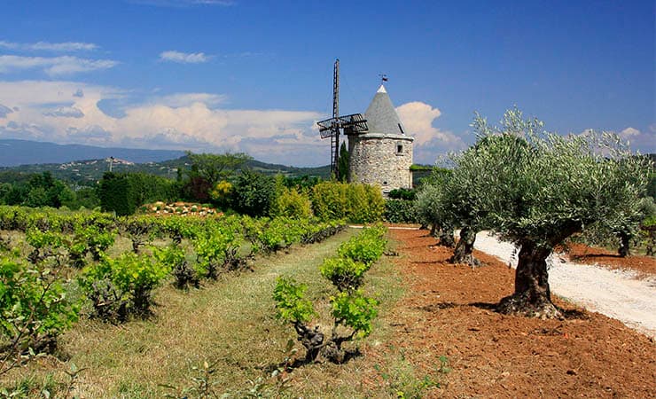Provence and Luberon Cycling Tour Illustrative image, AI-generated or AI-modified: Provence and Luberon Cycling Tour