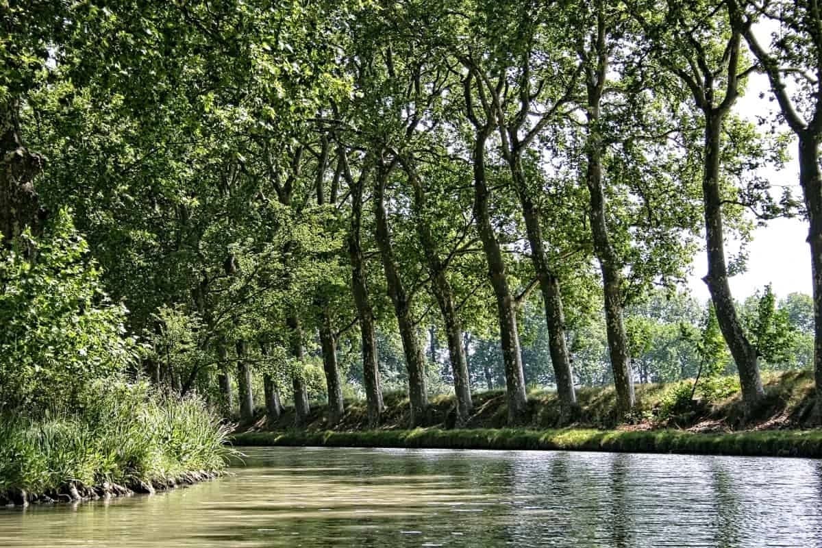 Canal du Midi Cycling Tour Illustrative image, AI-generated or AI-modified: Canal du Midi Cycling Tour