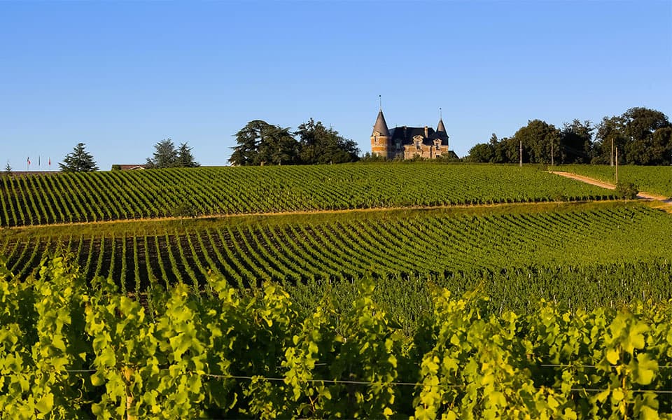 Bordeaux Vineyards Cycling Tour Illustrative image, AI-generated or AI-modified: Bordeaux Vineyards Cycling Tour