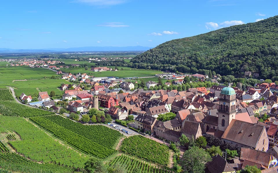 Alsace Wine Cycling: Colmar to Strasbourg Illustrative image, AI-generated or AI-modified: Alsace Wine Cycling: Colmar to Strasbourg