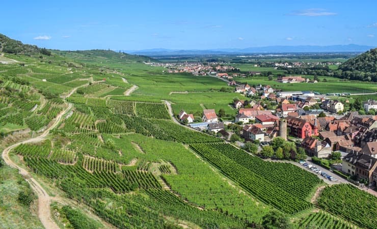 Alsace Wine Cycling: Colmar to Strasbourg Illustrative image, AI-generated or AI-modified: Alsace Wine Cycling: Colmar to Strasbourg