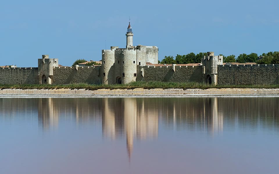 Provence and Camargue Cycling Tour Illustrative image, AI-generated or AI-modified: Provence and Camargue Cycling Tour