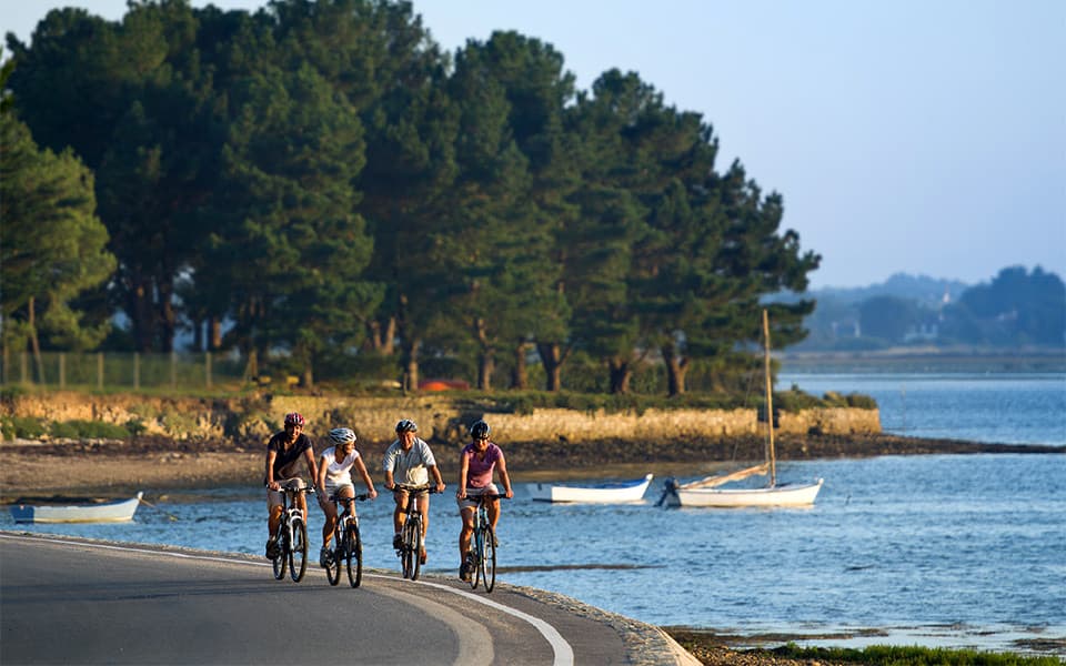 Gulf of Morbihan Cycling Tour Illustrative image, AI-generated or AI-modified: Gulf of Morbihan Cycling Tour