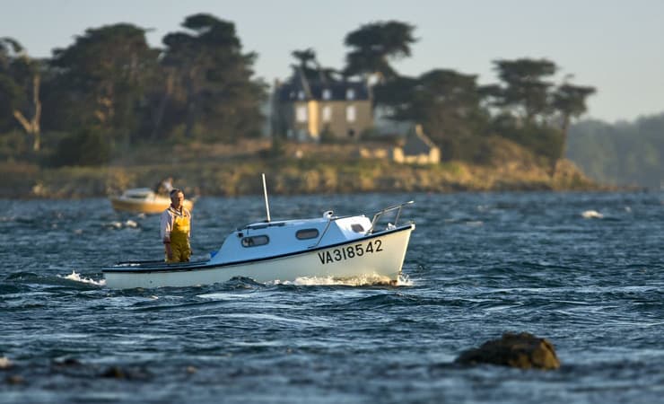 Gulf of Morbihan Cycling Tour Illustrative image, AI-generated or AI-modified: Gulf of Morbihan Cycling Tour