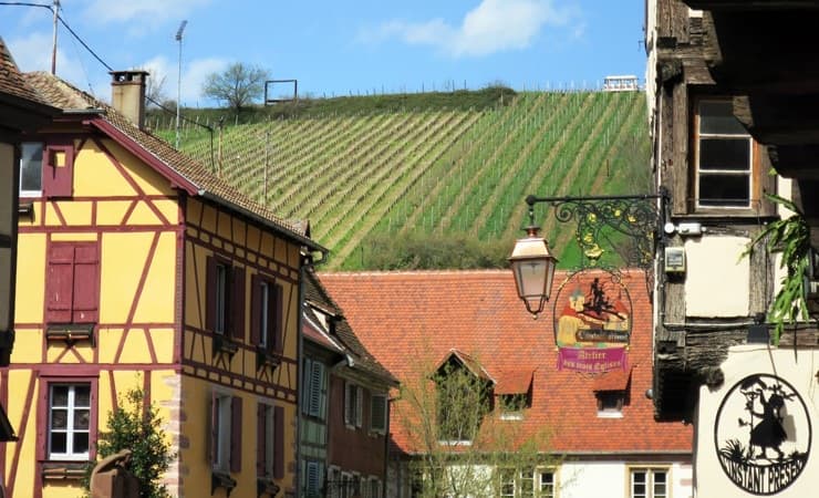 Alsace Wine Cycling: Strasbourg to Colmar Illustrative image, AI-generated or AI-modified: Alsace Wine Cycling: Strasbourg to Colmar