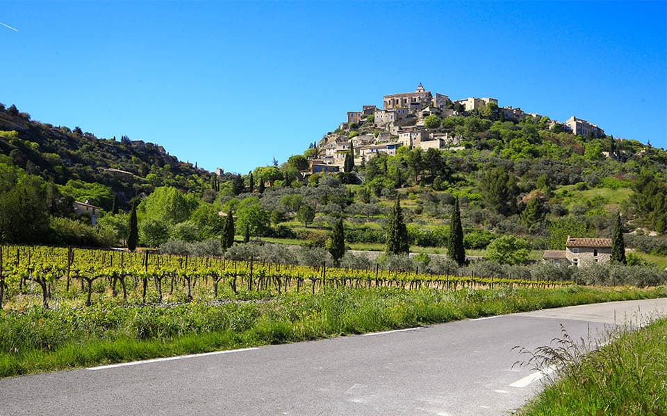 Provence Vineyards Cycling Tour Illustrative image, AI-generated or AI-modified: Provence Vineyards Cycling Tour