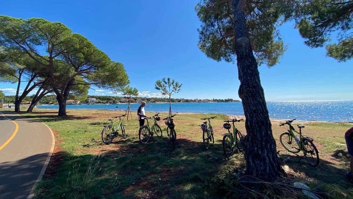 Istria MTB Cycling Tour Illustrative image, AI-generated or AI-modified: Istria MTB Cycling Tour