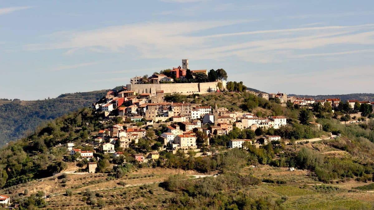 Istria Luxury Wine Cycling Tour Illustrative image, AI-generated or AI-modified: Istria Luxury Wine Cycling Tour