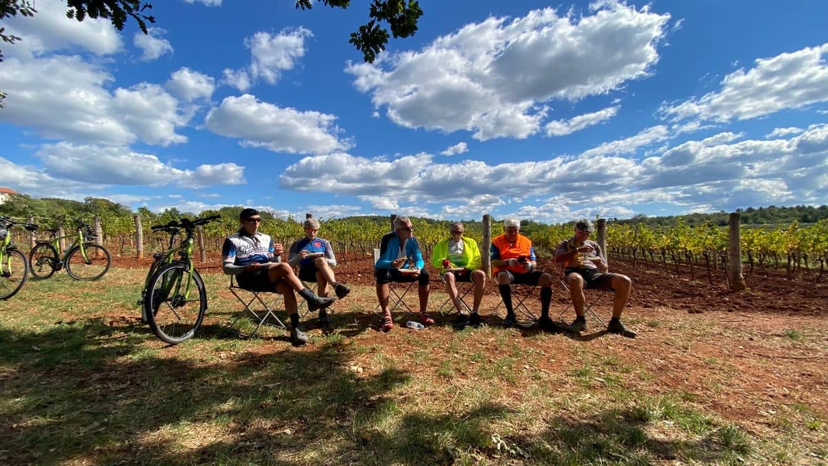 Istria Luxury Wine Cycling Tour Illustrative image, AI-generated or AI-modified: Istria Luxury Wine Cycling Tour