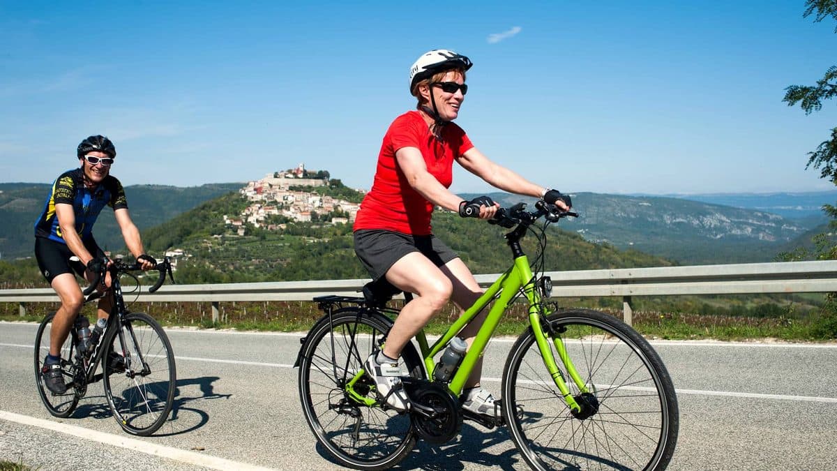 Istria Luxury Wine Cycling Tour Illustrative image, AI-generated or AI-modified: Istria Luxury Wine Cycling Tour