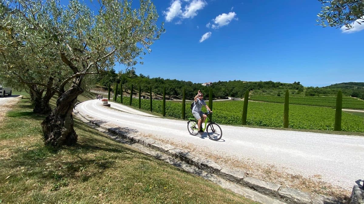 Istria Loop Cycling Tour Illustrative image, AI-generated or AI-modified: Istria Loop Cycling Tour