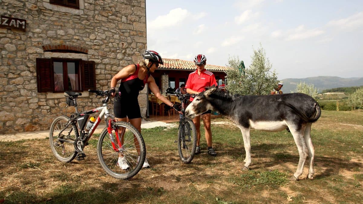 Istria Gravel Cycling Tour Illustrative image, AI-generated or AI-modified: Istria Gravel Cycling Tour