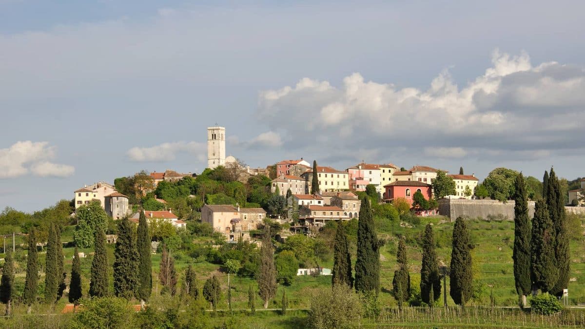 Istria Wine Roads Cycling Tour Illustrative image, AI-generated or AI-modified: Istria Wine Roads Cycling Tour