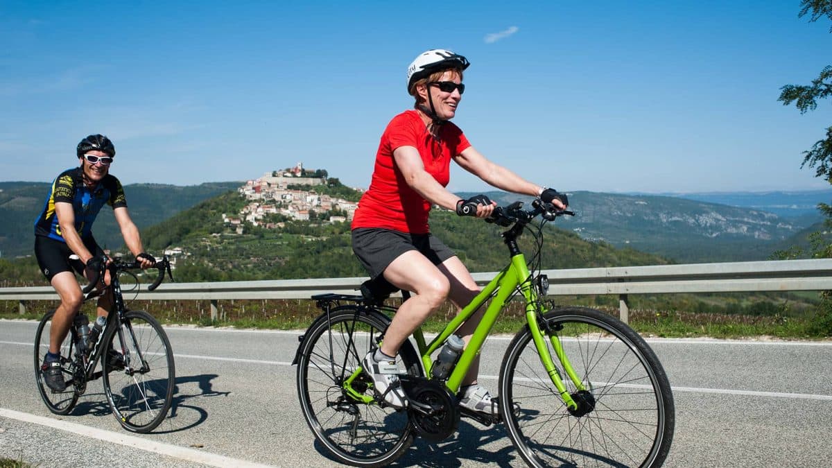 Istria Wine Roads Cycling Tour Illustrative image, AI-generated or AI-modified: Istria Wine Roads Cycling Tour
