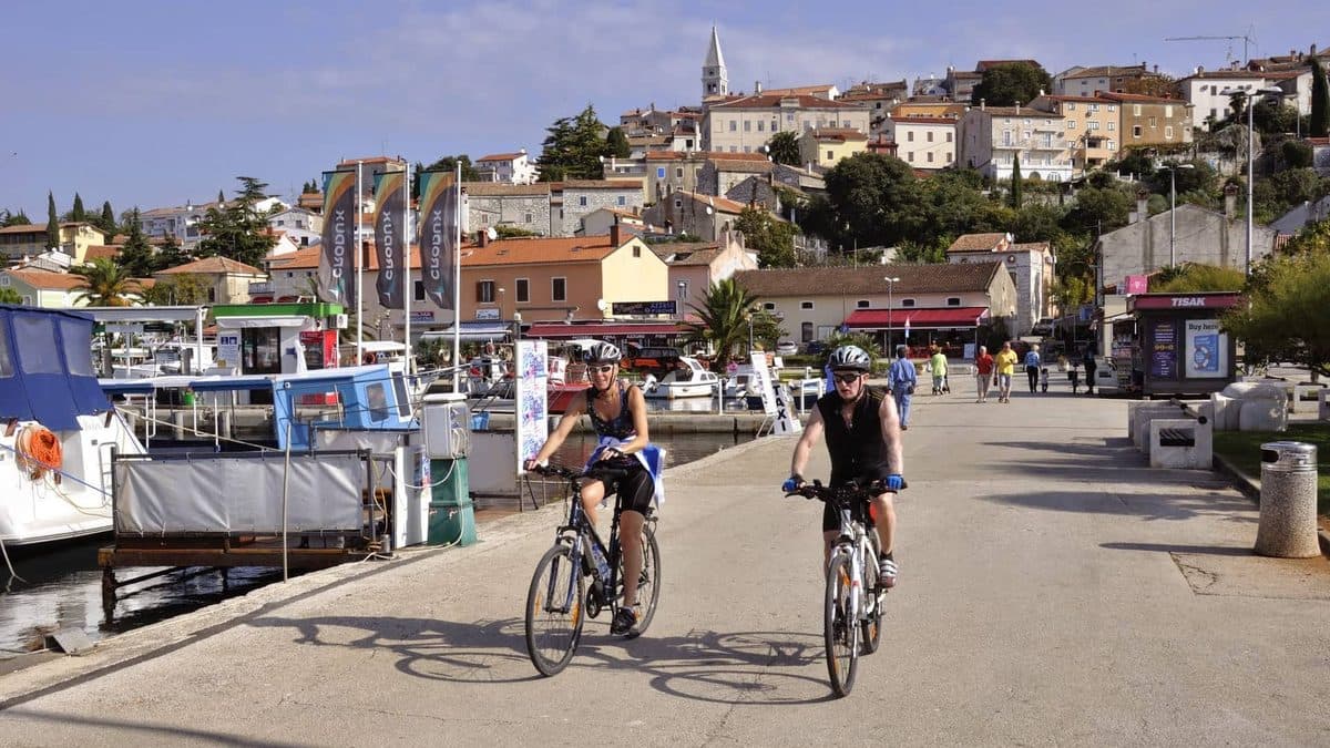 Istria Wine Roads Cycling Tour Illustrative image, AI-generated or AI-modified: Istria Wine Roads Cycling Tour