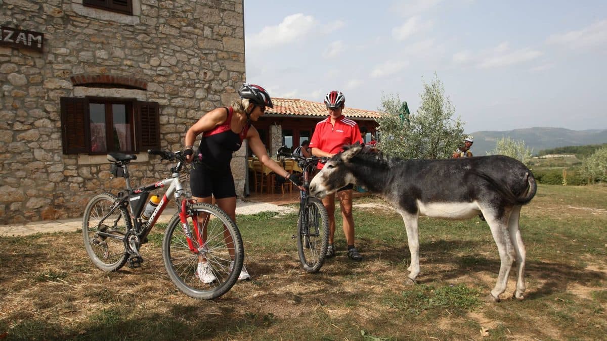 Parenzana MTB Cycling Tour Illustrative image, AI-generated or AI-modified: Parenzana MTB Cycling Tour
