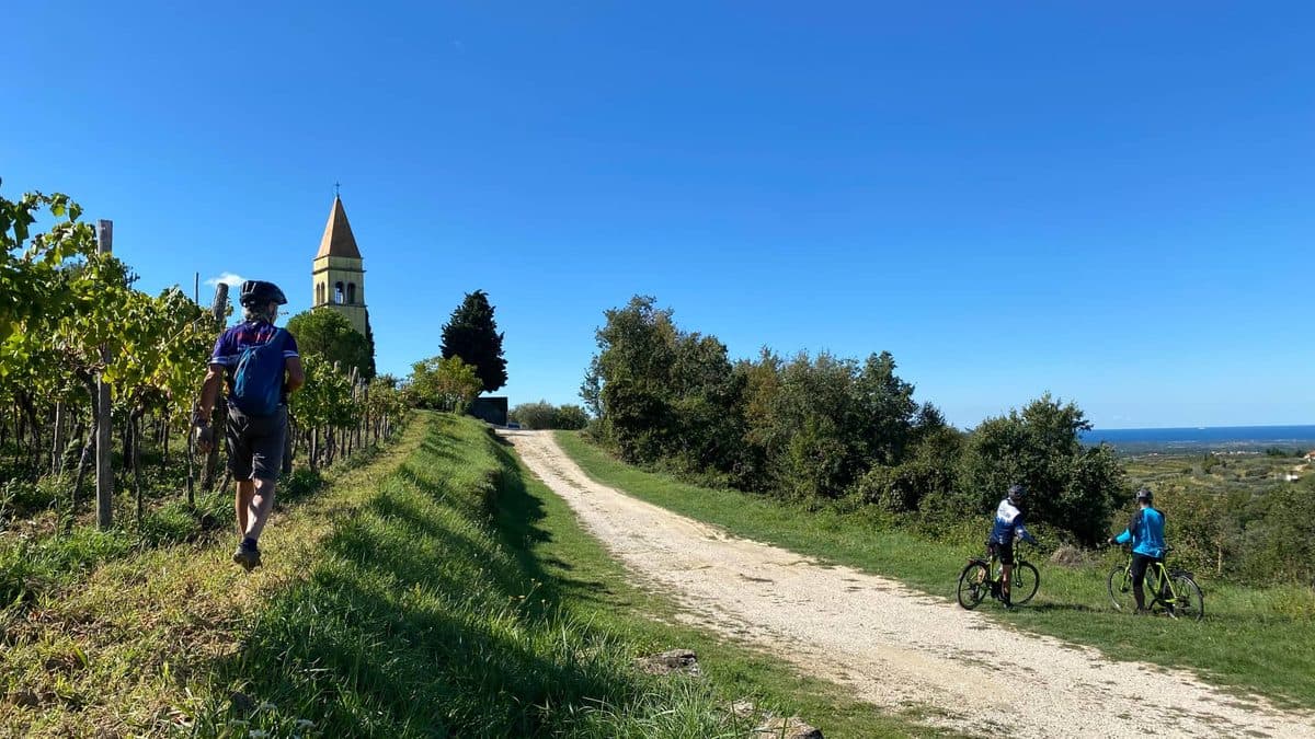 Istria Luxury Getaway Cycling Tour Illustrative image, AI-generated or AI-modified: Istria Luxury Getaway Cycling Tour