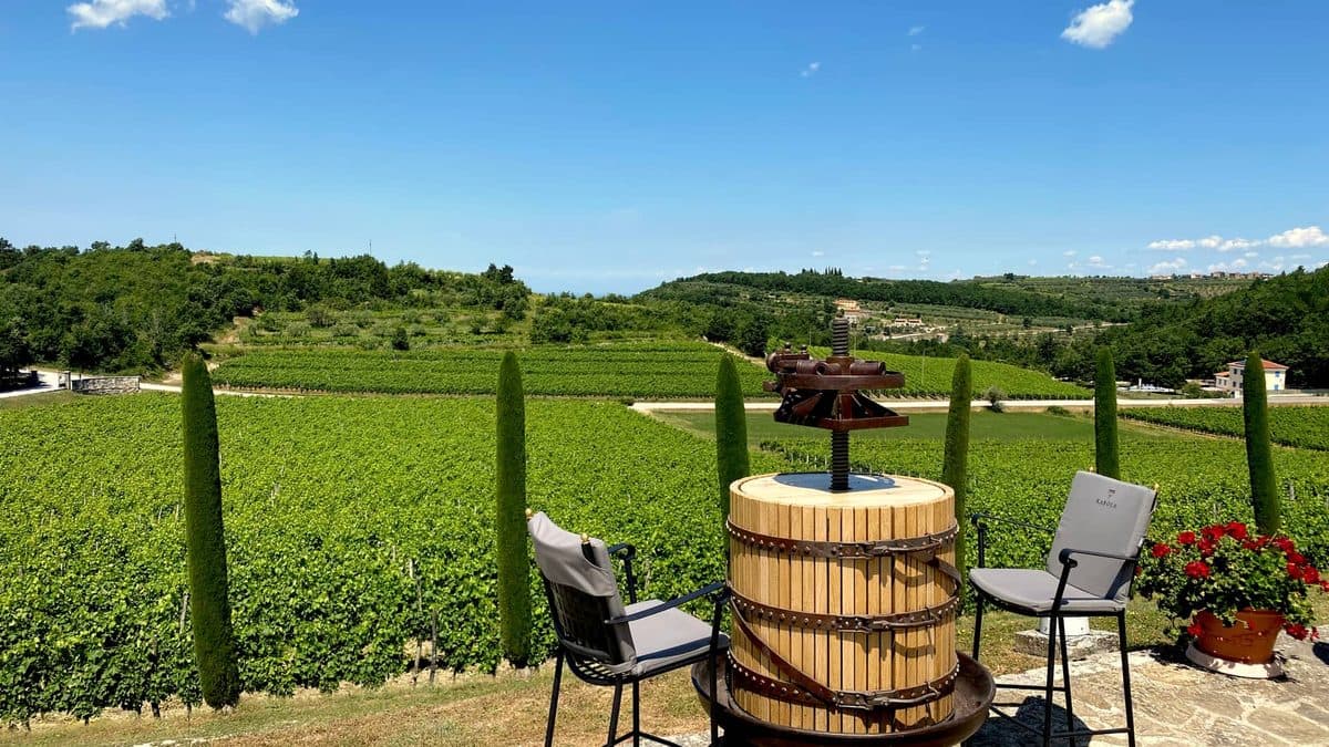 Istria Luxury Getaway Cycling Tour Illustrative image, AI-generated or AI-modified: Istria Luxury Getaway Cycling Tour