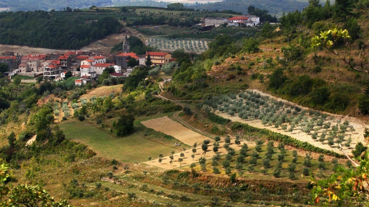 Istria Luxury Getaway Cycling Tour Illustrative image, AI-generated or AI-modified: Istria Luxury Getaway Cycling Tour
