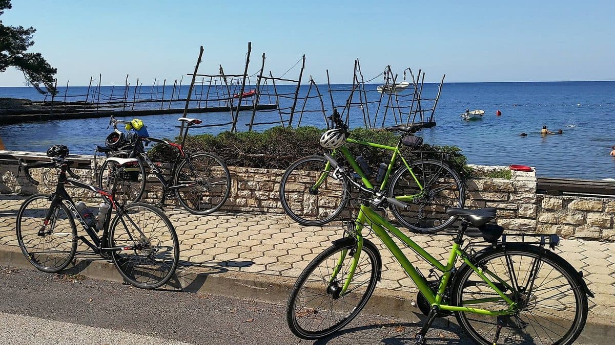 Istria E-bike Classic Tour: 6 Days from Poreč Illustrative image, AI-generated or AI-modified: Istria E-bike Classic Tour: 6 Days from Poreč